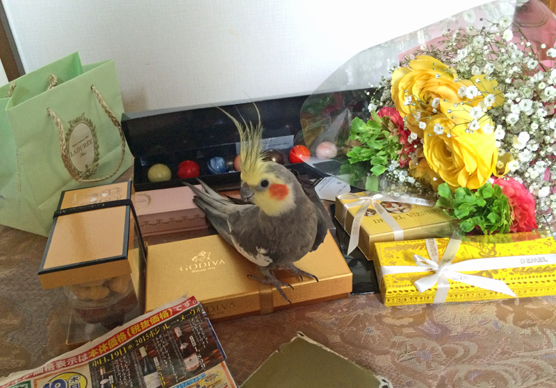 2016ヴァレンタインデー